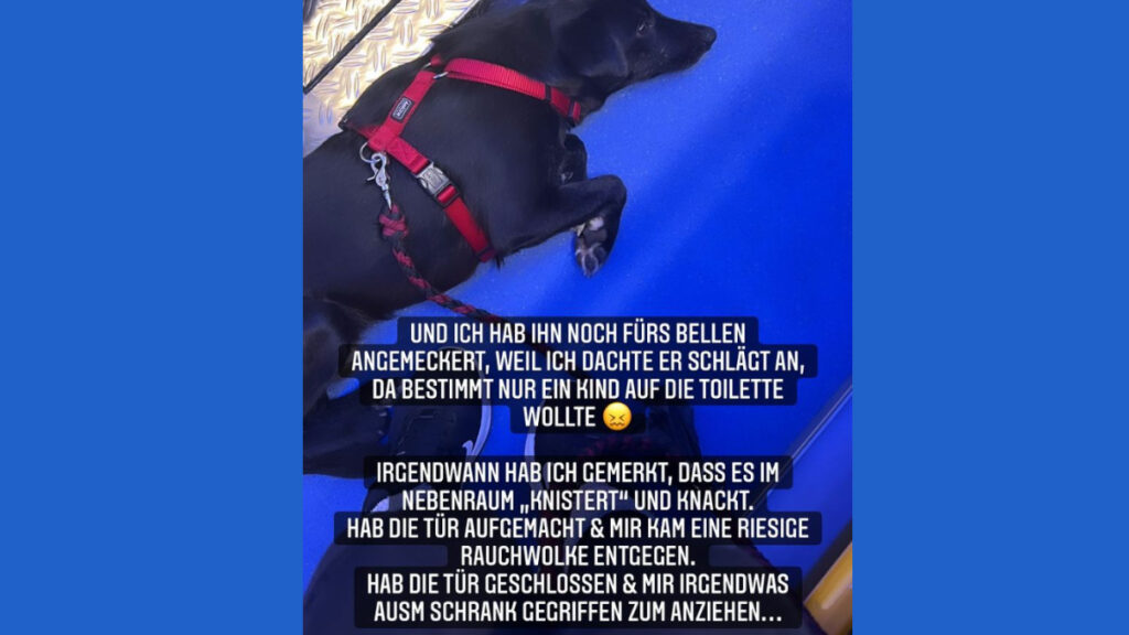 Anne Wünsches Hund Dobby.