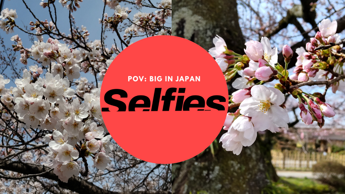 Sakura-Hype in Japan