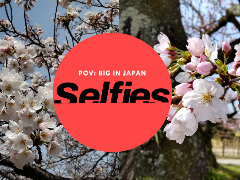Sakura-Hype in Japan