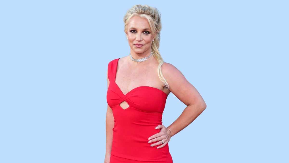 Britney Spears Shitstorm Instapost