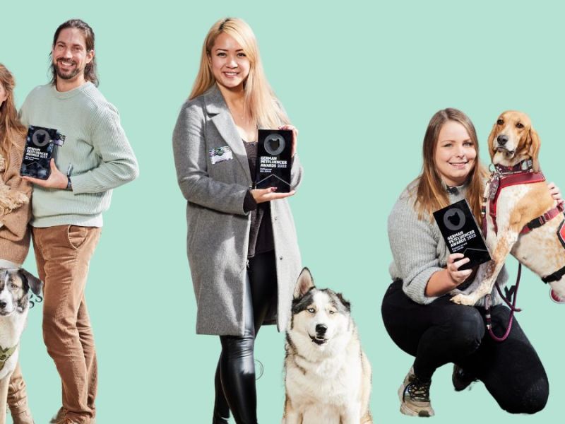 German Petfluencer Awards: Husky, Ridgeback & Co. – Gewinner 2022