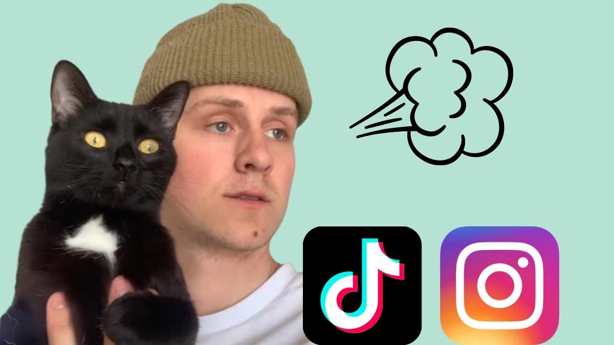 Katze erschreckt sich vor Pups TikTok Instagram
