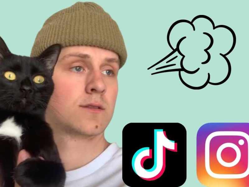 Katze erschreckt sich vor Pups TikTok Instagram