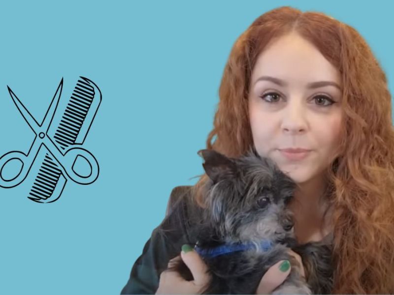 perfectpoochesgrooming: Hunde-Friseurin filmt sich bei der Arbeit