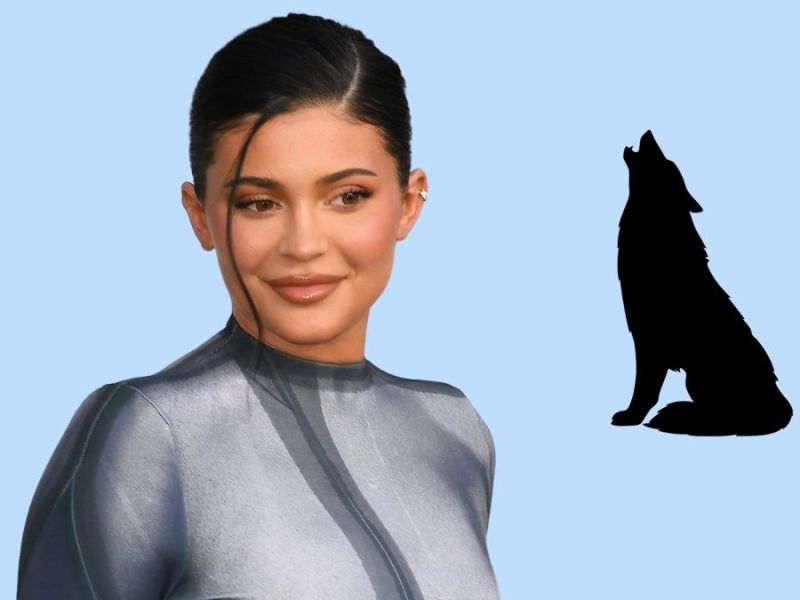 Kylie Jenners Sohn heißt immer noch Wolf