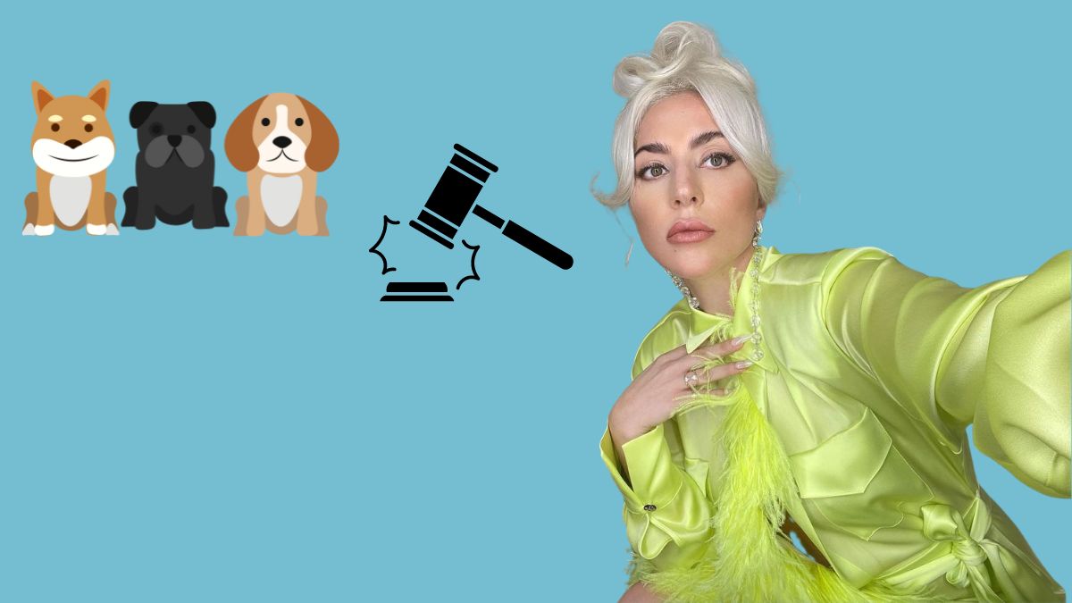 Lady Gagas Hundesitter überfallen – Täter verurteilt