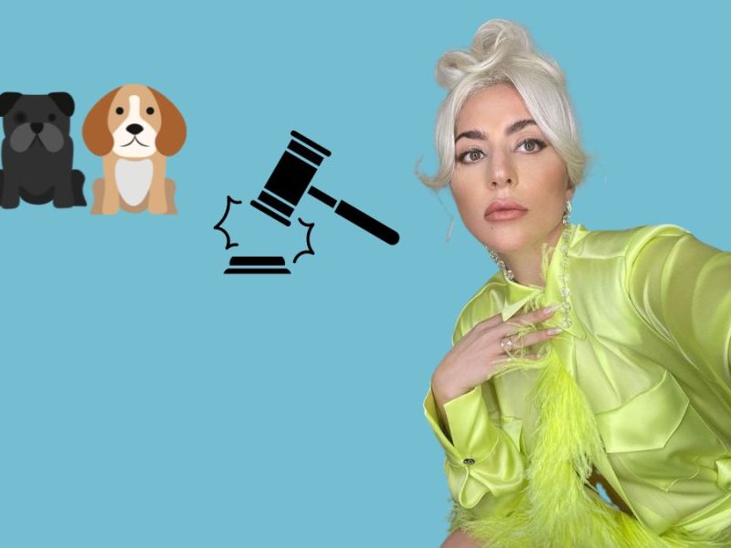 Lady Gagas Hunde wurden gestohlen