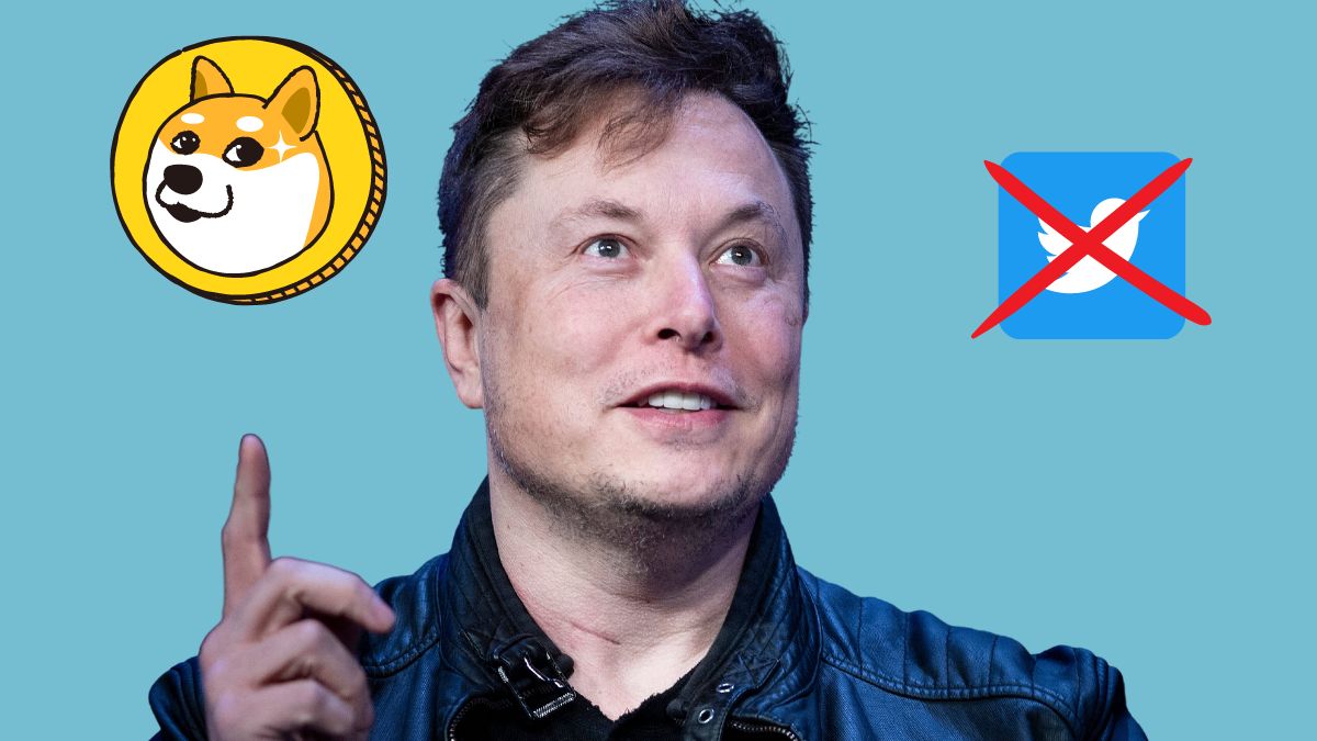 Elon Musk Twitter Logo Dogecoin