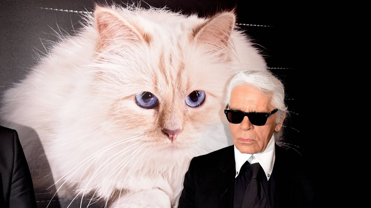 Kommt Karl Lagerfelds Katze Choupette zur Met Gala
