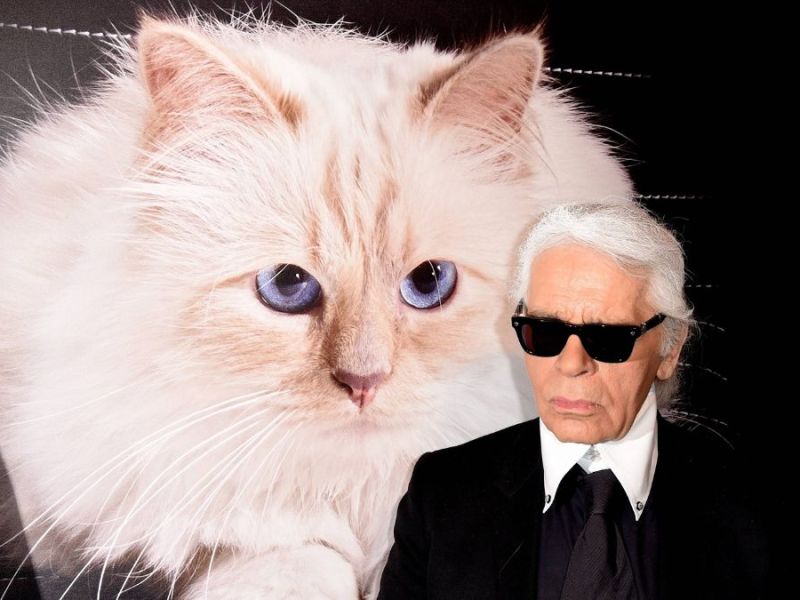 Kommt Karl Lagerfelds Katze Choupette zur Met Gala